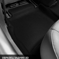 Левый пассажир